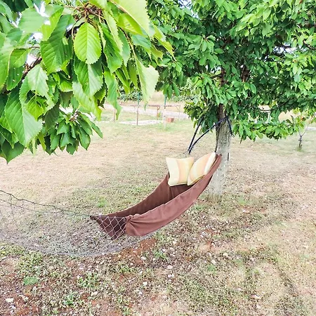 Iva فيلة Kraj (Split)