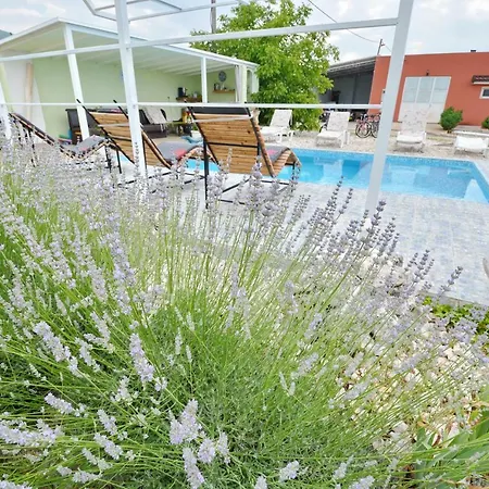 Iva Villa